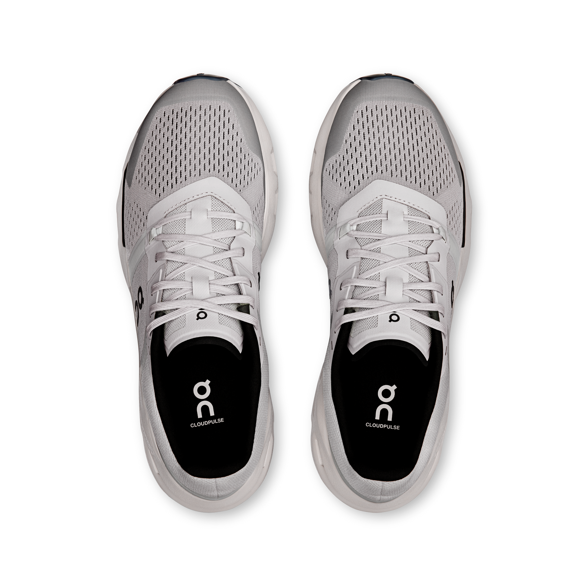 Cloudpulse - Wolf | Black